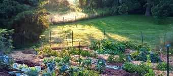 A quiet, lovely old farm on a beautiful piece of land near Shenandoah Park
