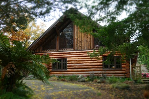 Authentic Canadian log house with the view of Mount Ruapehu 