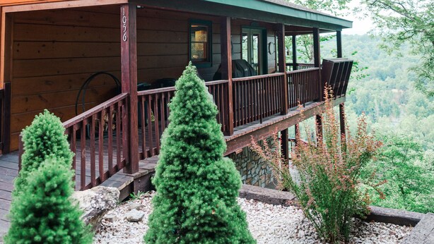 Een houten hut met een veranda, een stenen openhaard en uitzicht op het omliggende bos.