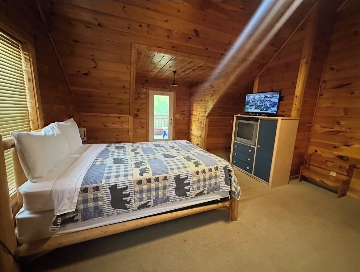 Un dormitorio de cabaña de madera con cama, televisor y armario.