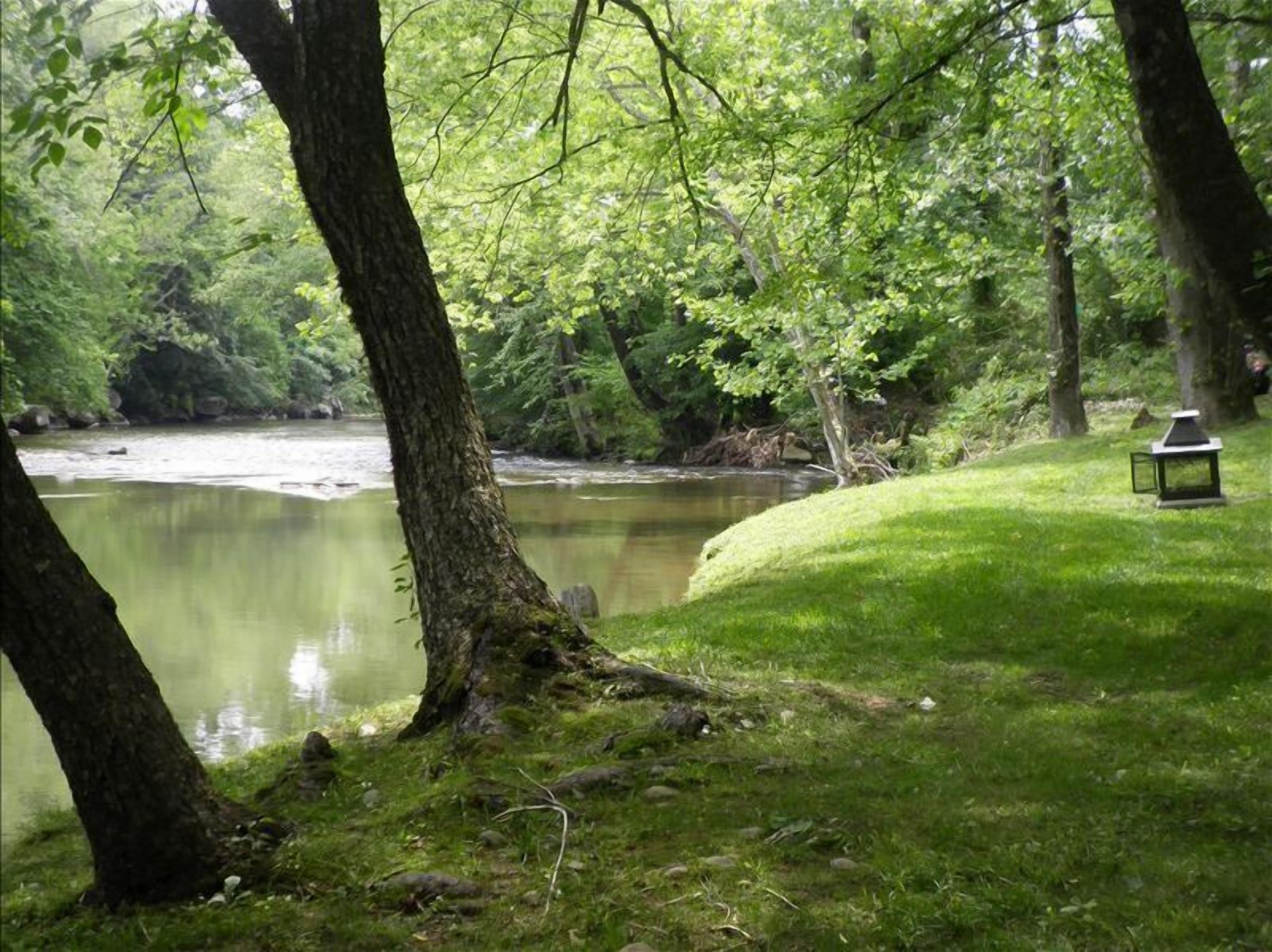 A serene riverside setting with a grassy area and a bench.