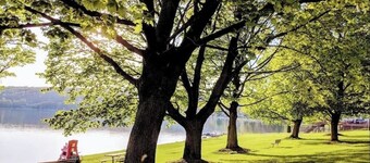 Morning Dove- Secluded Cottage - Hot Tub - Pets OK, Scenic Wooded Lot-Babbling Brook