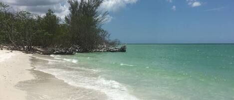 ビーチ、サンラウンジャー、ビーチタオル