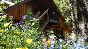 A wooden cabin with a balcony, surrounded by a variety of wildflowers. - Martins Vacation Rental Log Cabin (Hungry Horse)