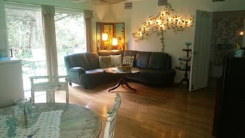 智能电视、DVD 播放器、书、影片库