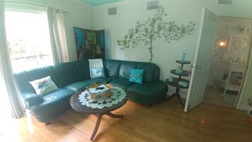 Smart TV, DVD player, books, video library