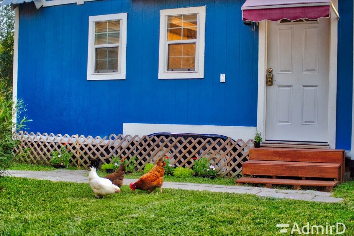 Tiny House Midtown Downtown W/Chickens