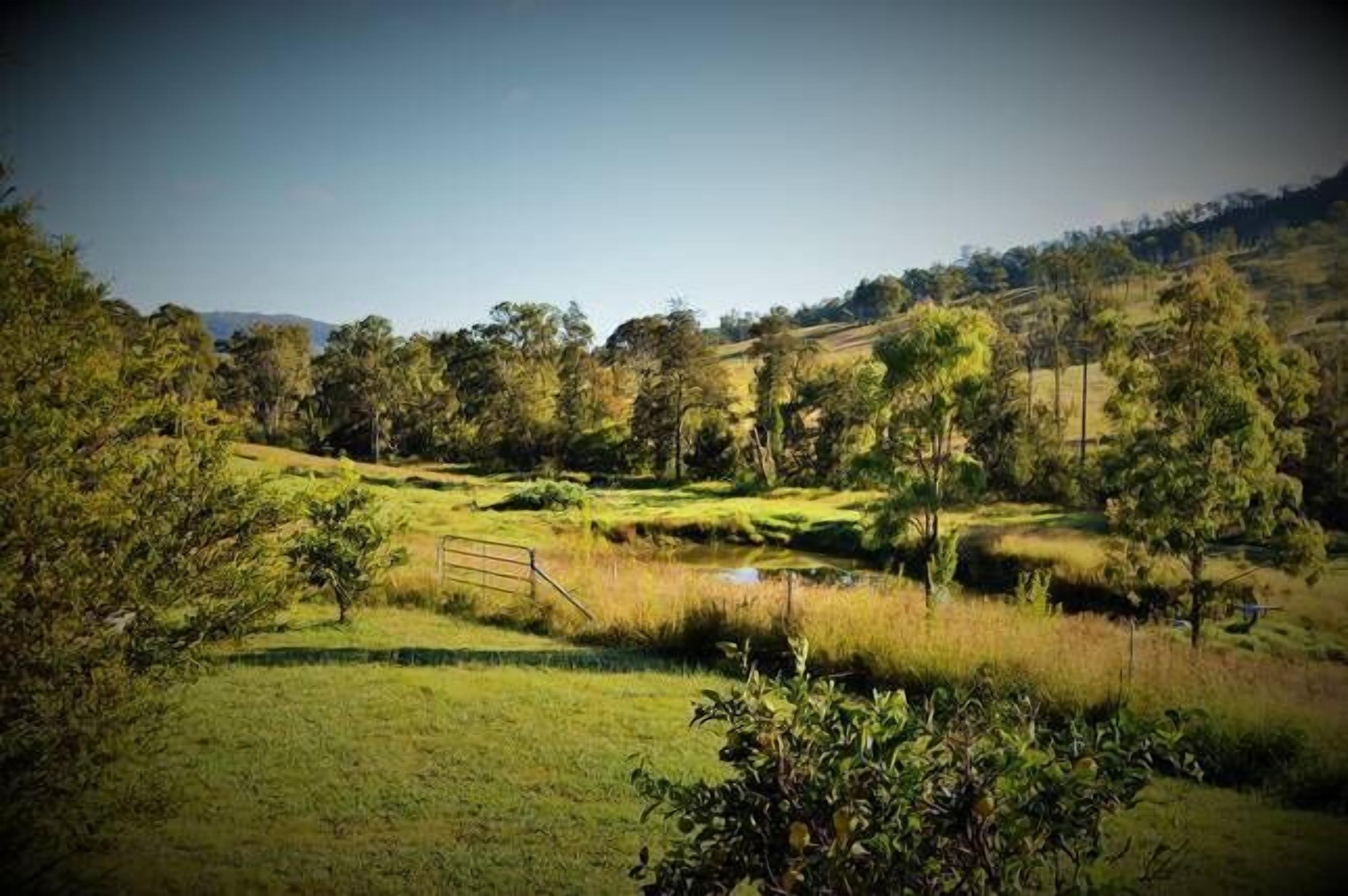 A rural landscape with a grassy field, a small stream, and trees.