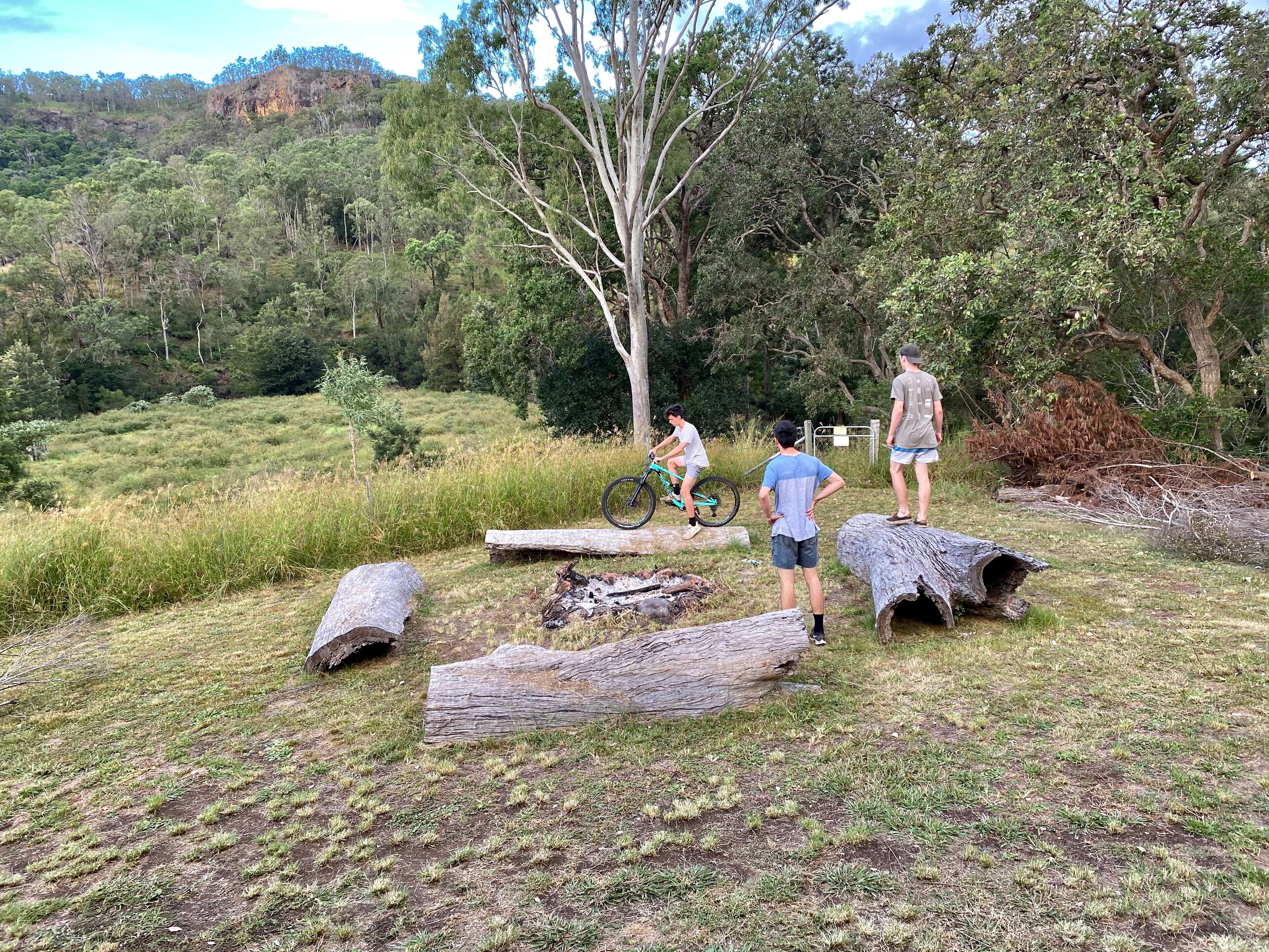 Un cadre naturel en plein air où l’on voit une personne à vélo et d’autres personnes debout près de troncs d’arbres abattus.
