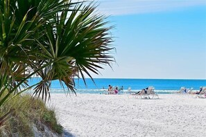 A beach with white sand, palm trees, and people relaxing on beach chairs.