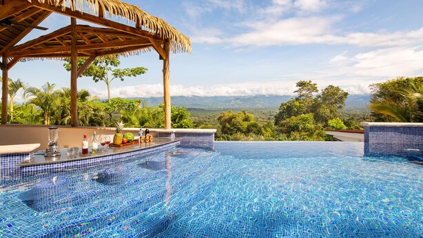 A infinity pool with a view of mountains, a bar area with a thatched roof, and tropical plants. - AMAZING Hillside Home, Private Infinity Pool, Covered Veranda, Spacious Rooms (Manuel Antonio)