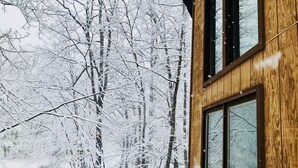 A wooden cabin with large windows overlooking a snow-covered forest.