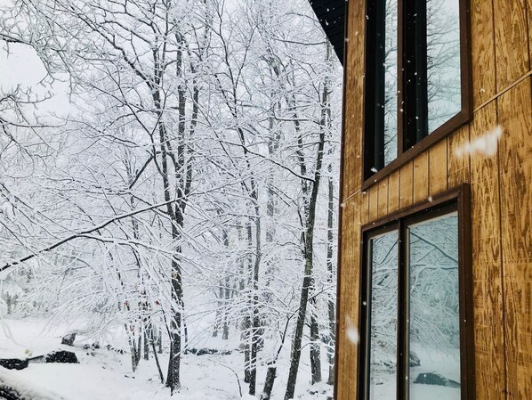 Property grounds - Cozy House with a Lovely Treehouse. 7-Person Hot Tub. Pet Friendly. Hiking. Lake (East Stroudsburg)