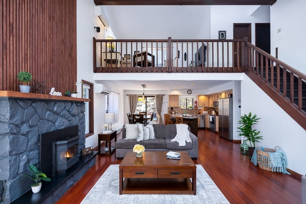 Smart TV, fireplace, toys, books