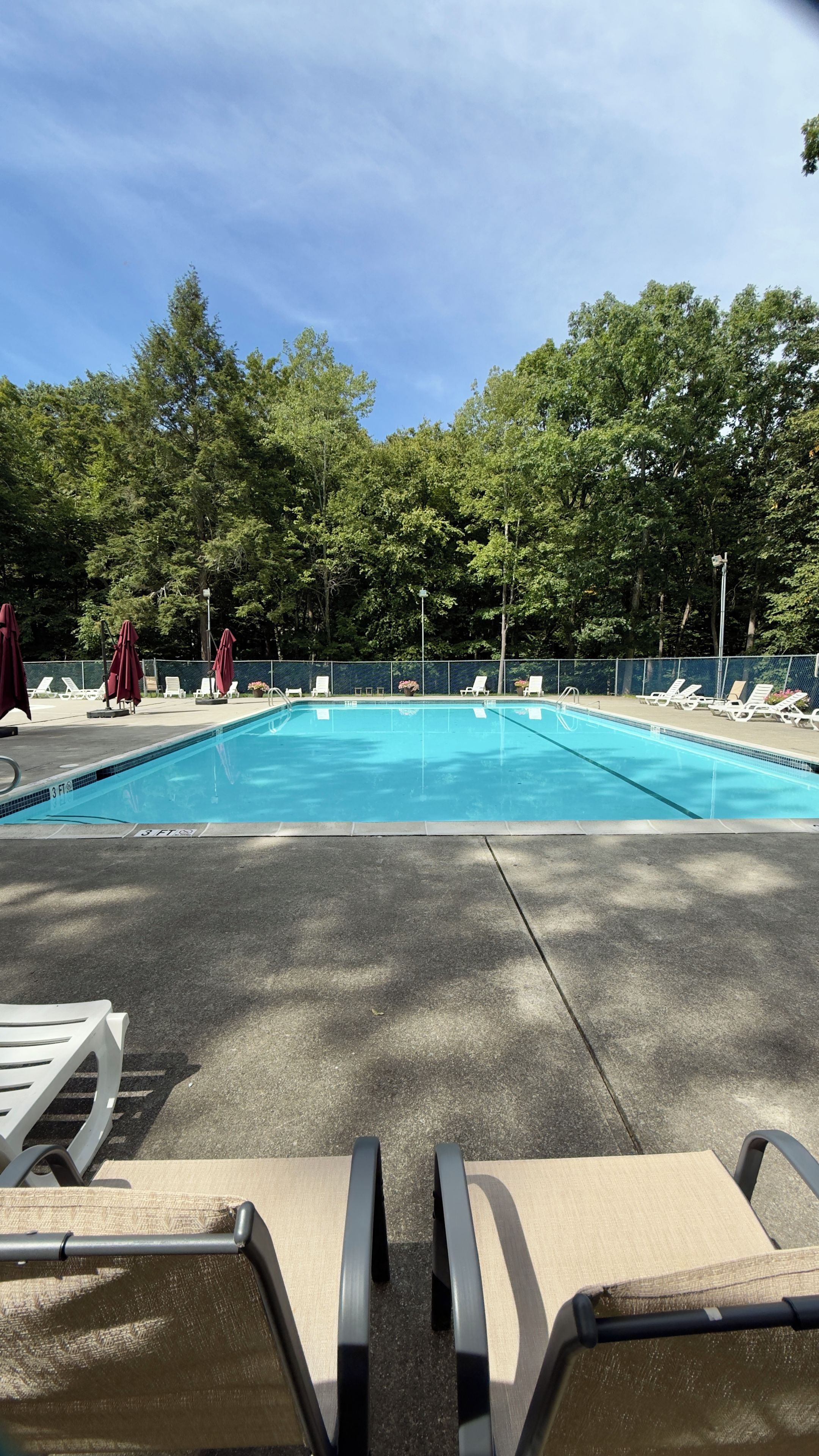 Ein Schwimmbecken mit Liegestühlen und Sonnenschirmen, umgeben von Bäumen.