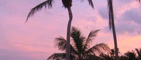 Beach nearby, beach towels