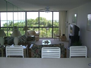 TV, DVD player, table tennis, video library