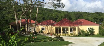 New Listing!Verdant Paradise. Relaxing Vacation In The Lush Tropical Rain Forest