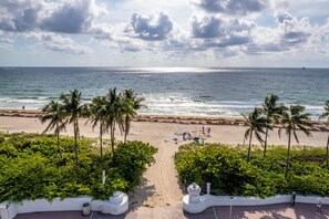 Uma praia com palmeiras, um caminho que leva à costa e vista para o oceano.