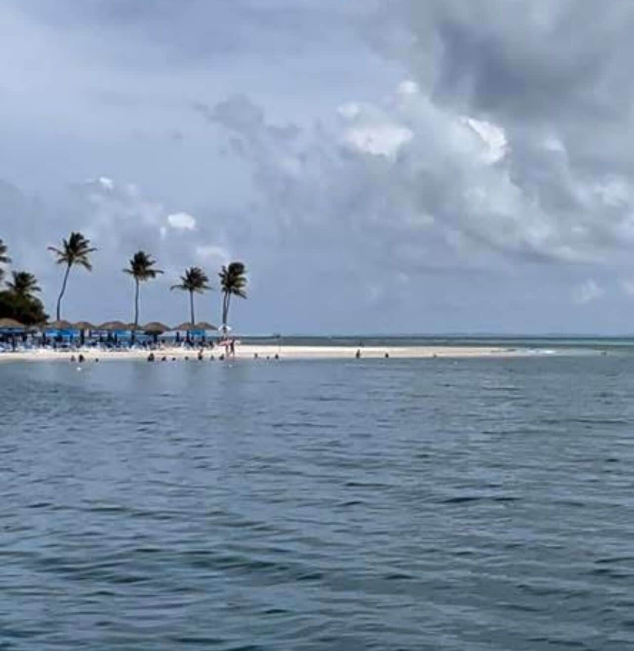 Une plage avec des palmiers et des parasols.