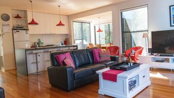 TV, DVD player, books, video library