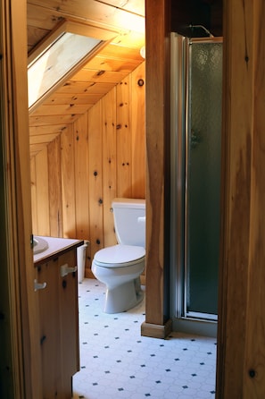 Ein Badezimmer in einer Holzh ütte mit Toilette, Waschbecken und Dusche.