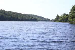 Ein ruhiger See mit bewaldeter Uferlinie.