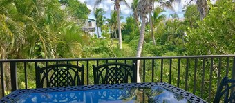 Just 20 miles from Key West!  Oceanfront, dockage, swimming pool