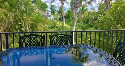 Just 20 miles from Key West! Oceanfront, dockage, swimming pool
