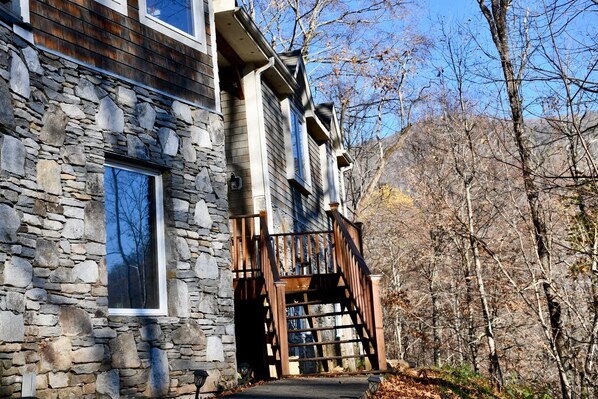 Exterior - Mountain Chalet with Beautiful Views, Pet Friendly, 6 Bdrms, 2 kings (Black Mountain)