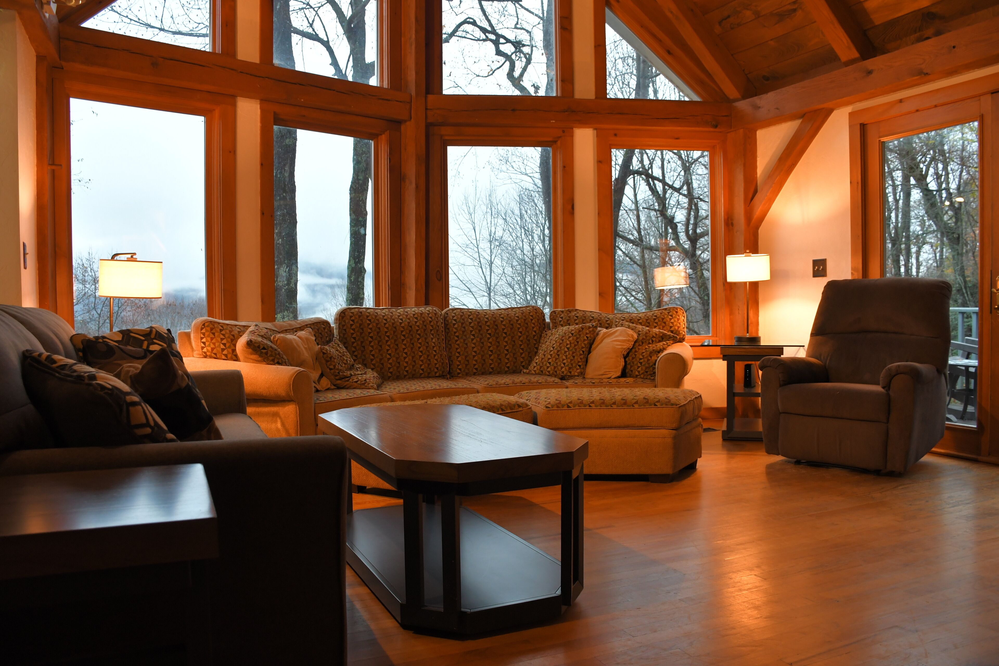 Smart TV, fireplace, DVD player, books