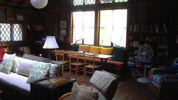 TV, fireplace, books