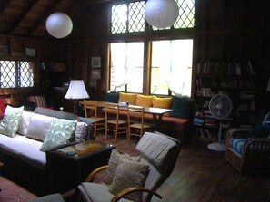 TV, fireplace, books