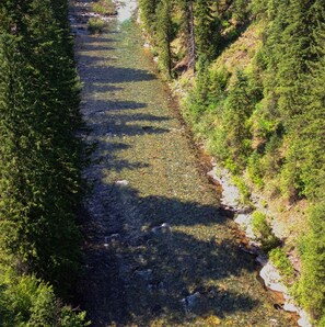 المنطقة المحيطة بالمنشأة