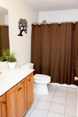 Combined shower/bathtub, hair dryer, towels, soap