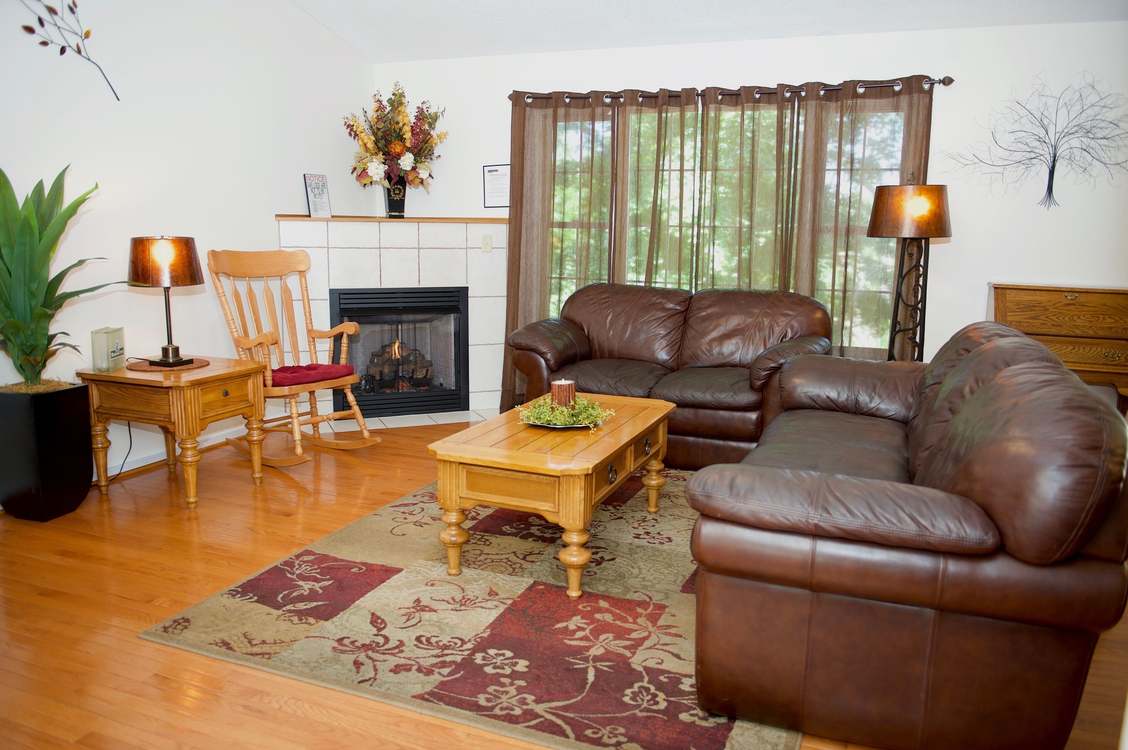 Una Smart TV, una chimenea, videojuegos, un reproductor de DVD