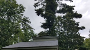 A small, single-story building with a green exterior and red shutters, a circular window, and a number '13' on the side. - Jackson NH Peaceful, Country Cottage / Access to Fabulous Amenities (Bartlett)