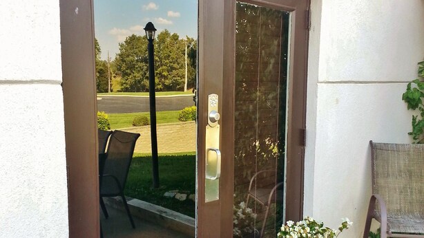 Una puerta marrón con un panel de vidrio, una planta en maceta y un felpudo.