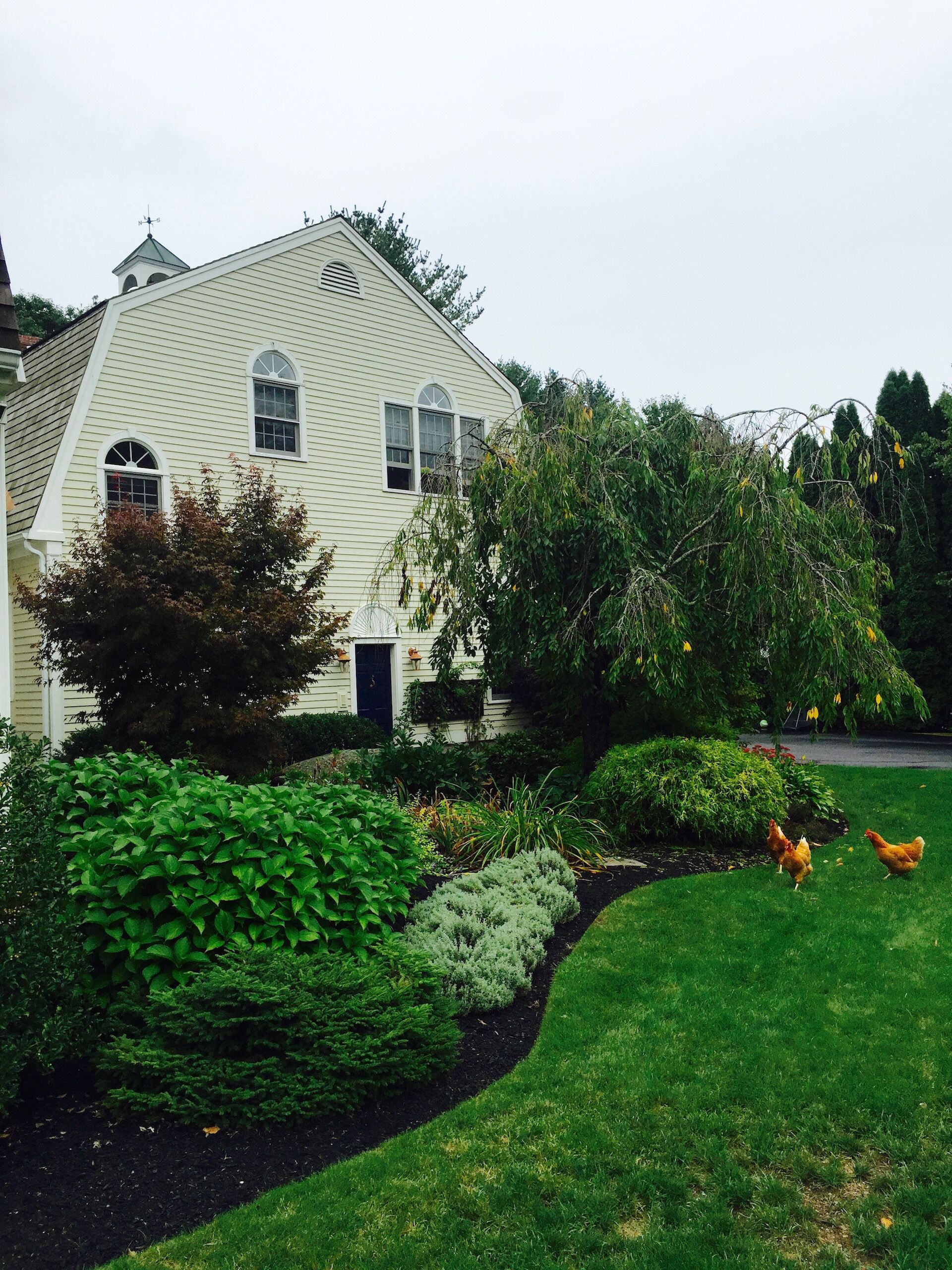 beautiful gardens surround the property