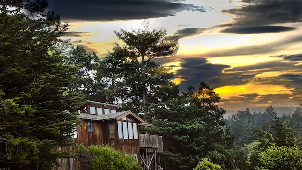 A rustic wooden cabin surrounded by dense forest, with a balcony and a view of the sky. - Easter Weekend Special, 20% off! Insider tip Easter egg hunt at the beach! (Manchester)