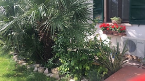 Un jardí amb una palmera, plantes en testos i una finestra amb persianes verdes.