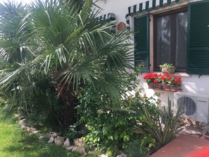 Terrein van de accommodatie