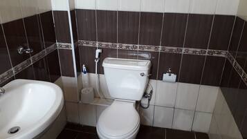 Hair dryer, towels, toilet paper