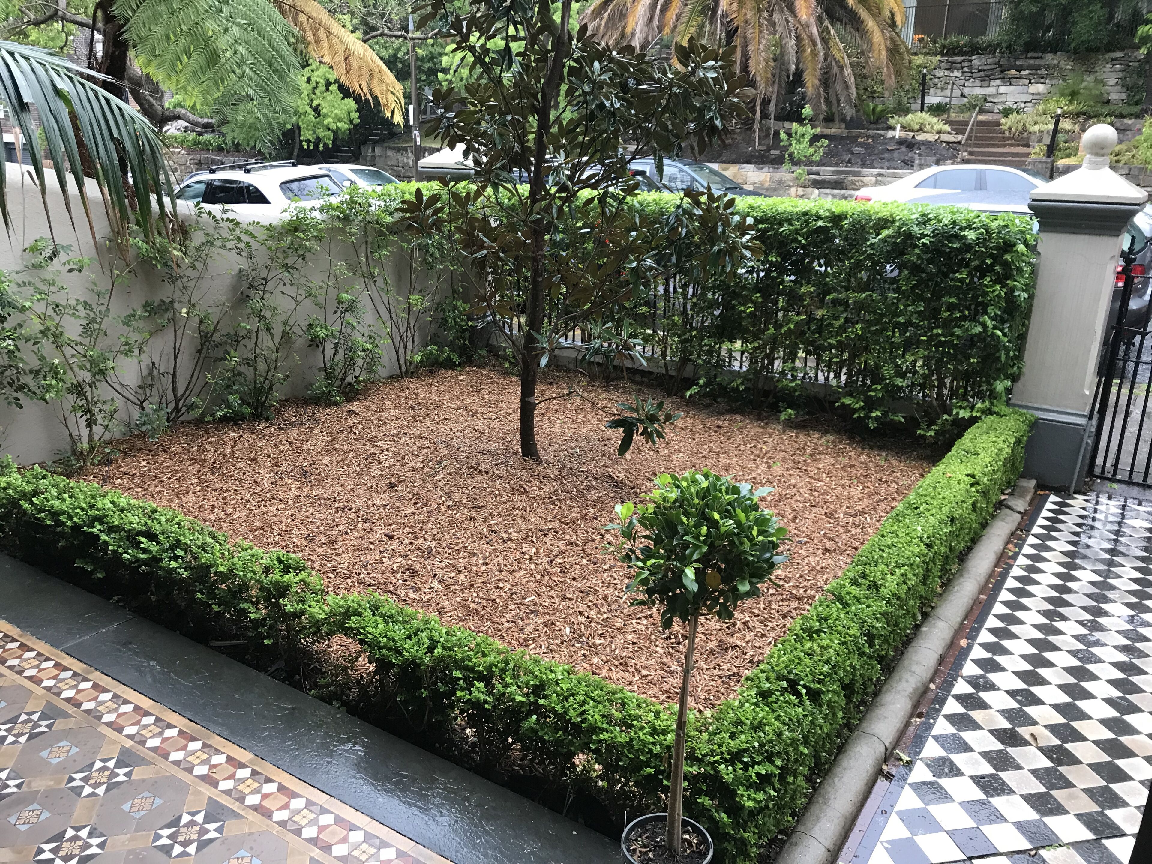 A garden area with a tiled walkway, a small tree, and a hedge.