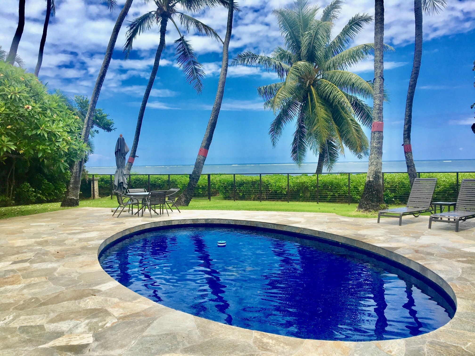 20% Fall Discount! Newly Renovated! Oceanfront & Pool Family Hideaway. Paradise.