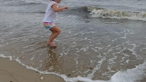 A child playing in shallow water at the beach. - Relax big in a small beach town! (Milford)