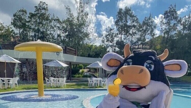 A mascot in a cow costume sitting on a lounge chair by a pool. - Your rest in style! (GRAVATÁ)
