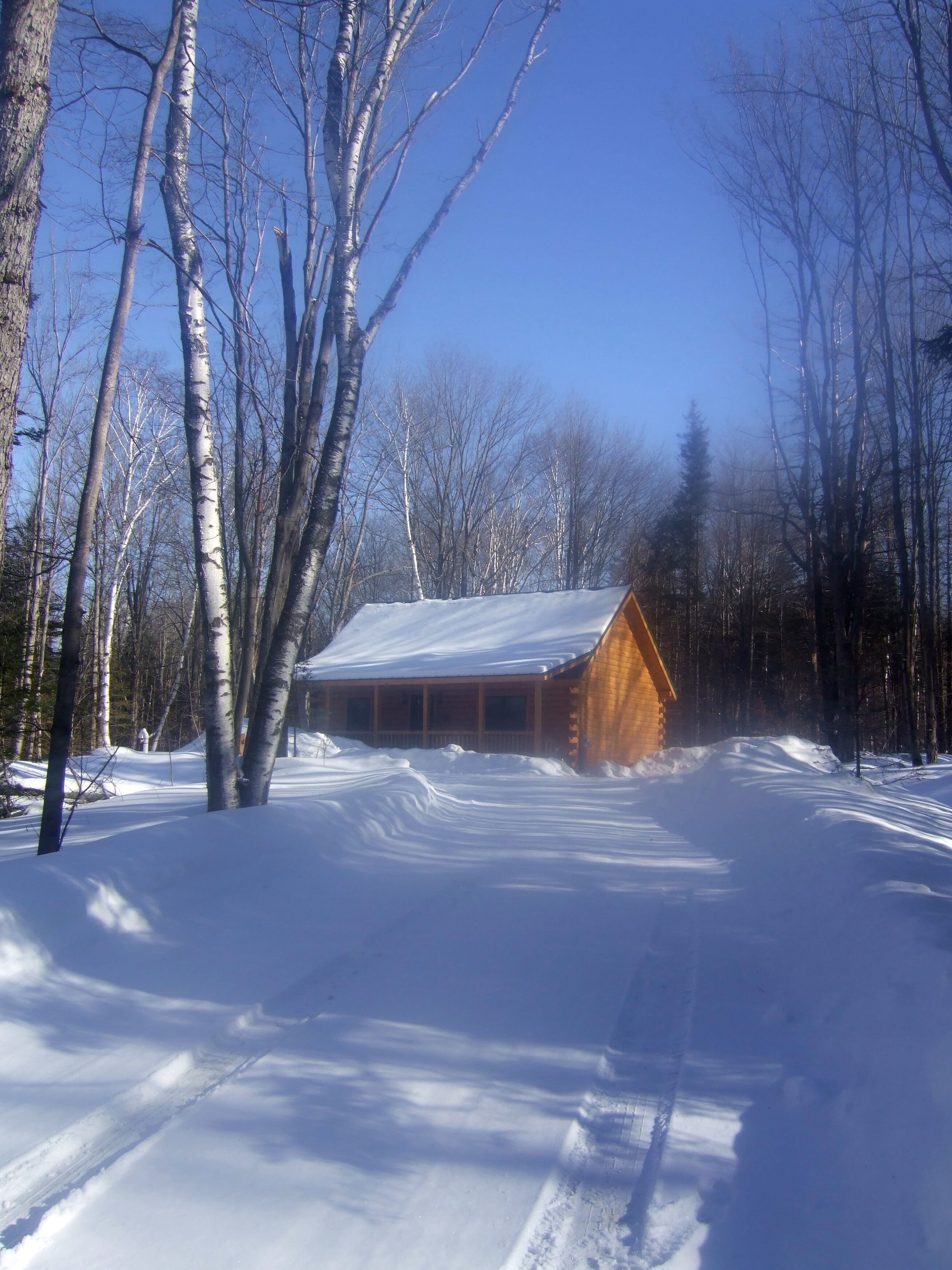 2024 MLK weekend- Book Your Cabin Time-Ski & Ride ~ WINTER is HERE!