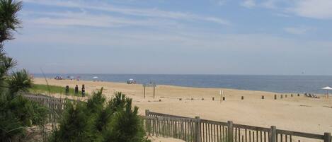 Nær stranden og solsenger