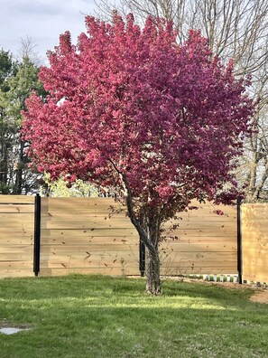 Property grounds - Winnisquam Lake W/Dock & Walk In Sandy Beach Near The Sandbar (Tilton)